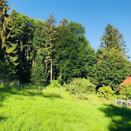 Landhaus Am Berg Schlafende Hexe Apartment Bayerisch Gmain
